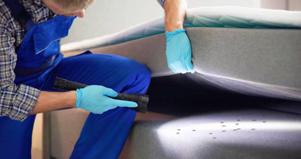 Best Pest Inspection Near Me  in Fairview Ferndale, PA