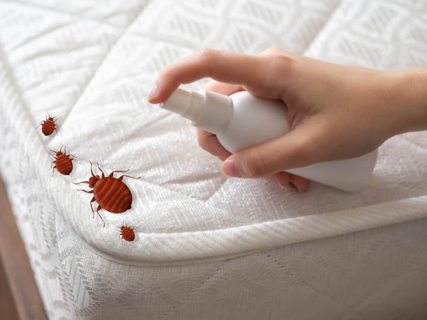 Best Local Pest Control Services  in Fairview Ferndale, PA